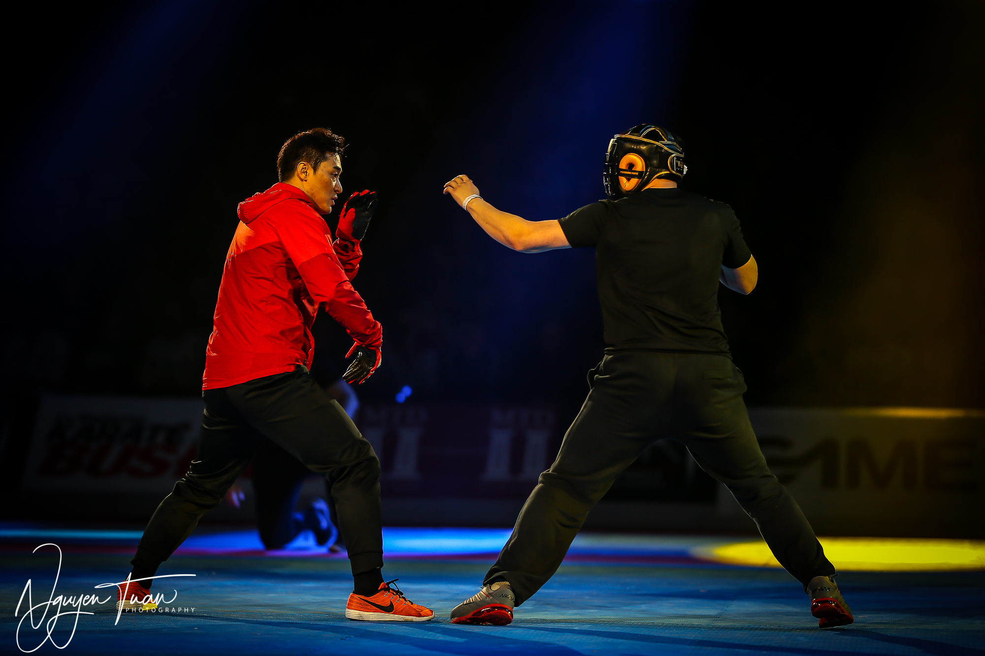 20190324 Festival des Arts Martiaux 5782